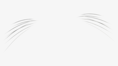 Transparent White Whiskers, HD Png Download, Transparent PNG
