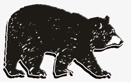 American Black Bear, HD Png Download, Transparent PNG