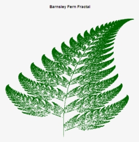 Barnsley Fern Fractal - Barnsley Fern C#, HD Png Download, Transparent PNG