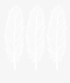 Wordpress Logo White Png , Png Download - Illustration, Transparent Png, Transparent PNG