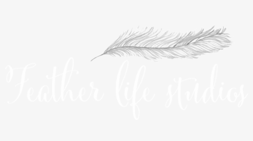 White Feather Png, Transparent Png, Transparent PNG