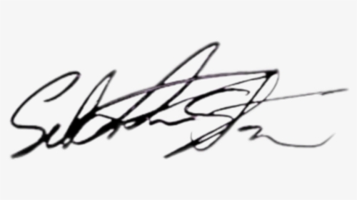 Sebastian Stan S Autograph ❤❤hope This Sticker Is Useful - Transparent Sebastian Stan Signature, HD Png Download, Transparent PNG