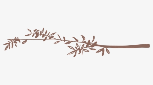 Twigs 2-01 - Calligraphy, HD Png Download, Transparent PNG