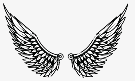 Eagle Wings Template Clipart , Png Download - Clip Art Eagle Wings, Transparent Png, Transparent PNG