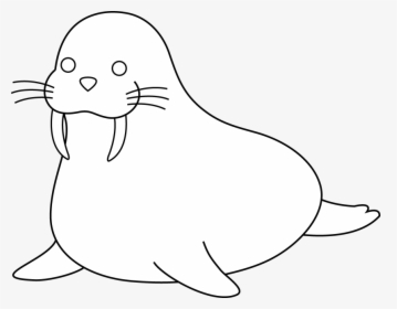Colorable Walrus Free Clip Art - Walrus Lineart, HD Png Download, Transparent PNG
