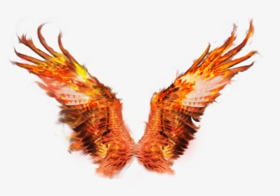 Eagle Transparent Fire - Phoenix Wings Transparent Background, HD Png Download, Transparent PNG