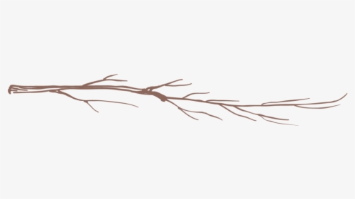 Twigs2-02 - Twig, HD Png Download, Transparent PNG