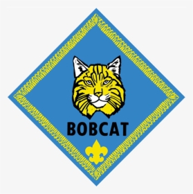 Cub Scouting, HD Png Download, Transparent PNG