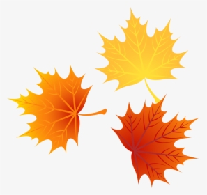 Autumn Euclidean Leaves Vector Leaf Png Image High - Cartoon Fall Leaves Png, Transparent Png, Transparent PNG