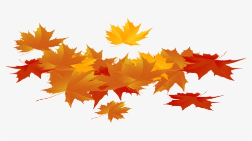 Thanksgiving Leaves Png - Autumn Leaf Png, Transparent Png, Transparent PNG