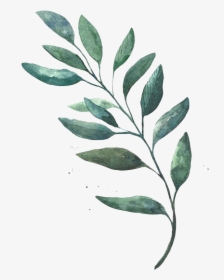 Watercolor Leaf Leaves Painting Drawing Free Hd Image - Transparent Watercolor Leaves Png, Png Download, Transparent PNG