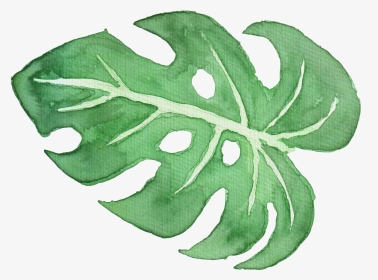 White Watercolor Png -tropical Leaf Watercolor Png - Watercolour Palm Leaves Png, Transparent Png, Transparent PNG