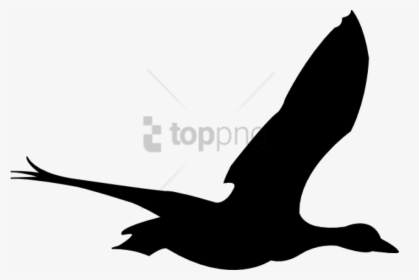 Free Png Flying Birds Animation Png Image With Transparent - Bird Flying Animation Png, Png Download, Transparent PNG