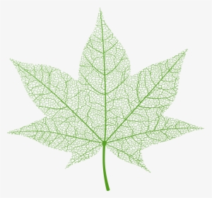 Transparent Green Autumn Leaf Png Clip Art Image - Autumn Clear Background Leaves Png Transparent, Png Download, Transparent PNG