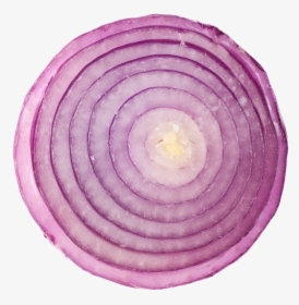 Sliced Onion Png Transparent Image, Png Download, Transparent PNG
