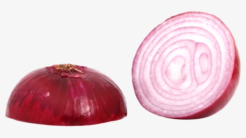 Onion Slice Png - Red Onion Png, Transparent Png, Transparent PNG
