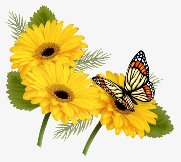 Yellow Gerberas With Butterfly Png Clipart - Butterfly On Flowers Png, Transparent Png, Transparent PNG