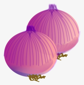 Onion Vector - Onion Clip Art, HD Png Download, Transparent PNG