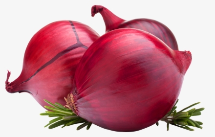 Red Onion, HD Png Download, Transparent PNG