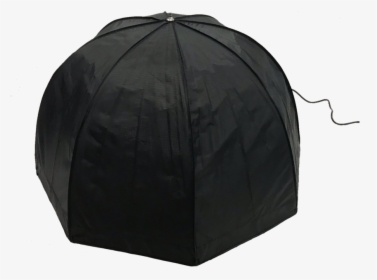 Sage Png -s - Umbrella, Transparent Png, Transparent PNG