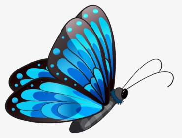 Butterfly Clip Art - Flying Butterfly Clip Art, HD Png Download, Transparent PNG