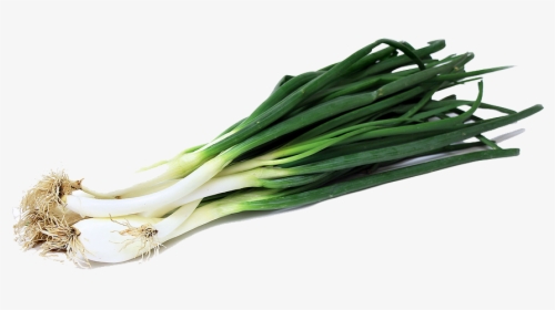 Onion Clipart Onion Slice - Green Onion Png, Transparent Png, Transparent PNG