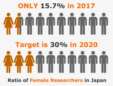 Ratio Of Female Researchers In Japan - Many Genders Are There, HD Png Download, Transparent PNG