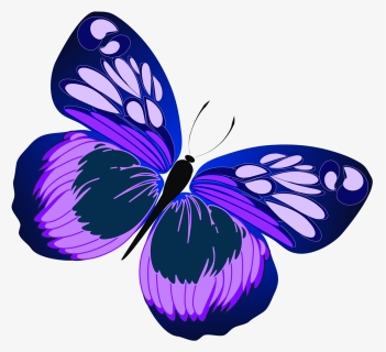 Blue Pink Purple Butterflies, HD Png Download, Transparent PNG