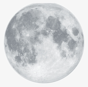 Full Moon Images Free Download - Blue Moon White Background, HD Png Download, Transparent PNG