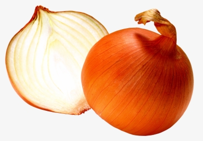 Transparent Red Onion Clipart - Onion Png, Png Download, Transparent PNG
