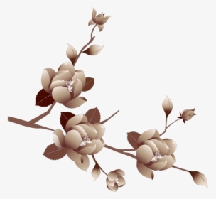 Brown Flower PNG Transparent Images Free Download