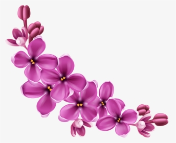 Flowers Purple Curve - Transparent Background Flowers Png, Png Download, Transparent PNG