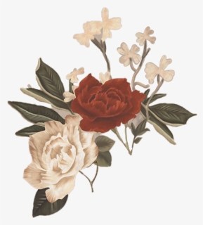 My Blood Shawn Mendes Flower, Hd Png Download , Png - Shawn Mendes Stickers, Transparent Png, Transparent PNG