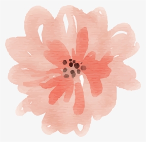 Free Watercolor Flower Images Peach Delight Watercolor - Peach Flower Watercolor Png, Transparent Png, Transparent PNG