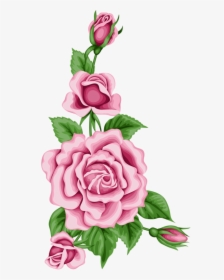 Flower Card With Colorful Roses Png Pinterest - Flower Border Designs Colorful, Transparent Png, Transparent PNG