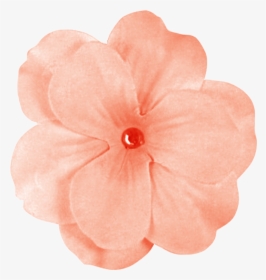 Peach Flowers Png Banner Black And White Stock - Transparent Peach Flower Png, Png Download, Transparent PNG