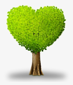 Plant Tree Heart - Heart Shaped Tree Clipart, HD Png Download, Transparent PNG