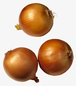 Holland Onion, HD Png Download, Transparent PNG