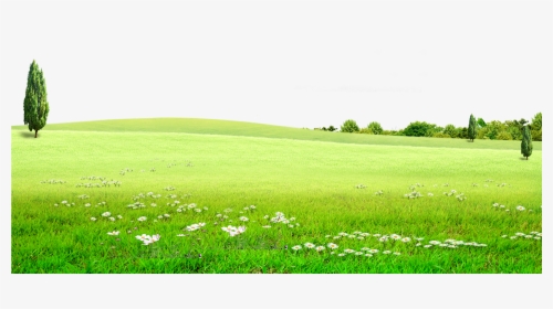 Hd Graphic Stock Land Grassland For Free Download On - Green Land Background Png, Transparent Png, Transparent PNG