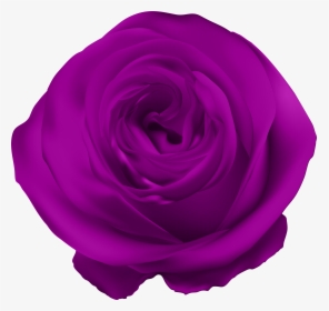 Royal Blue Rose Flower Png, Transparent Png, Transparent PNG