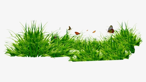 Grass Png Image - Grass Images In Png, Transparent Png, Transparent PNG
