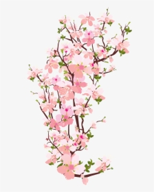 Pin By Fida Kamal On Desenhos 3 - Cherry Blossom Branch Transparent, HD Png Download, Transparent PNG