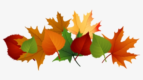 Fall Leaves Clipart, HD Png Download, Transparent PNG