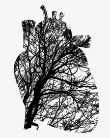 Visual Arts,plant,flora - Black And White Heart Tree, HD Png Download, Transparent PNG