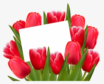Red Tulips- Spring Clip Art - Red Tulips Png, Transparent Png, Transparent PNG