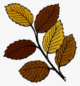 Leaves Clip Art, HD Png Download, Transparent PNG