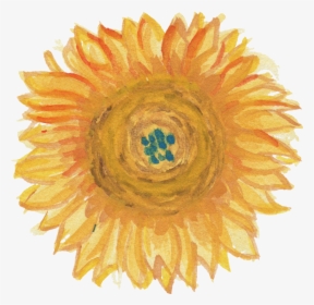 Transparent Brown Flower Png - Sunflower, Png Download, Transparent PNG