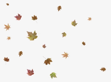 Falling Leaves Png - Autumn Leaf Falling Png, Transparent Png, Transparent PNG