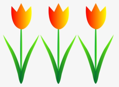 Spring Flowers Border Clipart - Garden Flower Clipart Png, Transparent Png, Transparent PNG