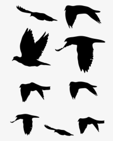 Vogelschwarm Tattoo, HD Png Download, Transparent PNG